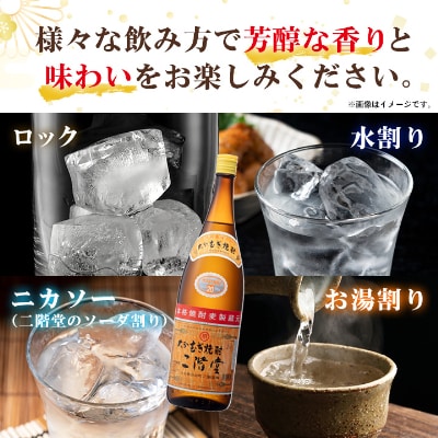 【毎月定期便】大分むぎ焼酎二階堂(20度(1.8L)×6本) 全12回