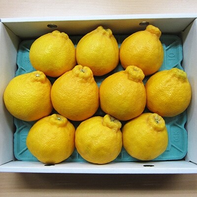 【12月より発送】あまい柑橘!不知火 3kg(7～8玉または10玉)化粧箱入り