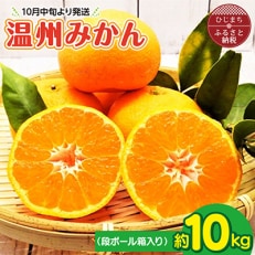 【10月中旬より発送】温州みかん 約10kg(ダンボール箱入り)
