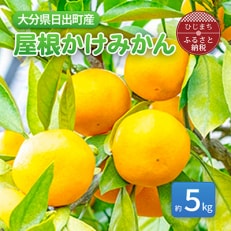 【1月より発送】屋根かけみかん 約5kg(ダンボール箱入り)