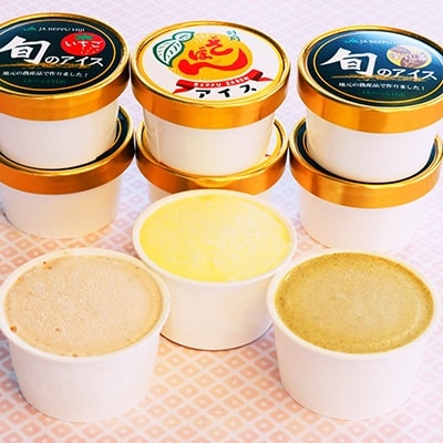 地元特産品アイス3種　9個セット
