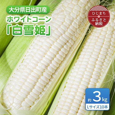 大分県日出町産　ホワイトコーン「白雪姫」