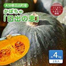 【数量限定】大分県日出町産かぼちゃ「日出の恵」2玉入