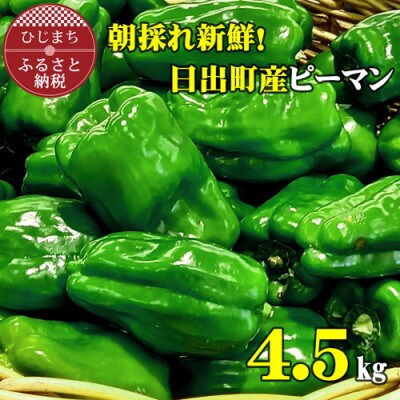 大分県日出町産　朝採れ新鮮ピーマン　4.5kg(80～100個)