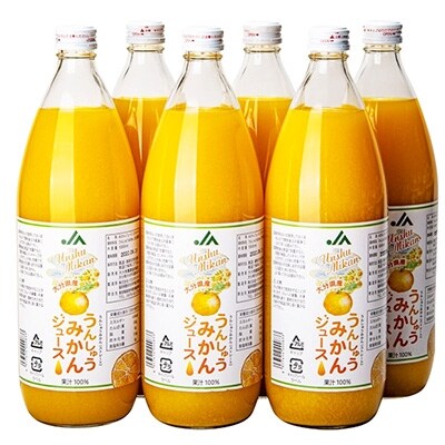 訳あり うんしゅうみかんジュース6本 お礼品詳細 ふるさと納税なら さとふる