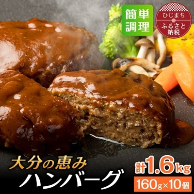 大分の恵みハンバーグ 1.6kg (160g×10個)(日出町)