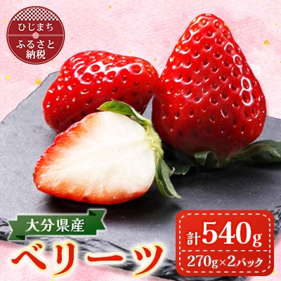 大分県産ベリーツ(270g×2パック)(日出町)