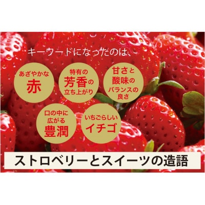 大分県産ベリーツ(270g×2パック)(日出町)