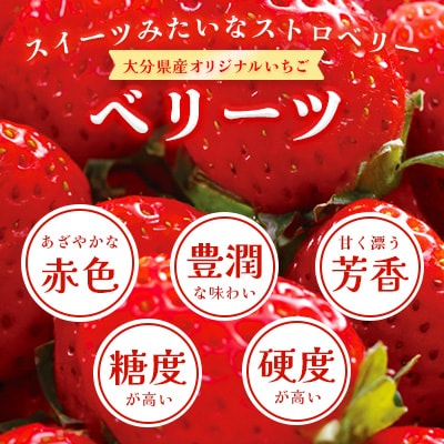 大分県産ベリーツ(270g×2パック)(日出町)