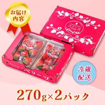 大分県産ベリーツ(270g×2パック)(日出町)