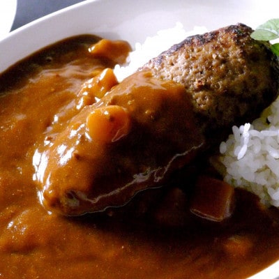 【毎月定期便】【全国テレビで絶賛】マインズハンバーグ(12個セット)　全6回