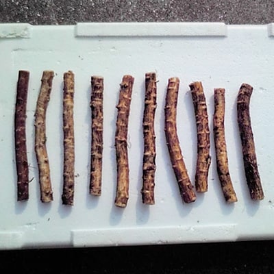 タラの樹皮茶30包入 AJ03