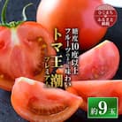 2026年1月下旬から順次発送【糖度10度以上】高糖度トマト 「トマ王 潮プレミアム」約9玉～