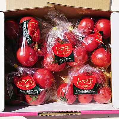 【糖度8度以上】あま~いトマト「トマ王 潮」(約300g×5袋)