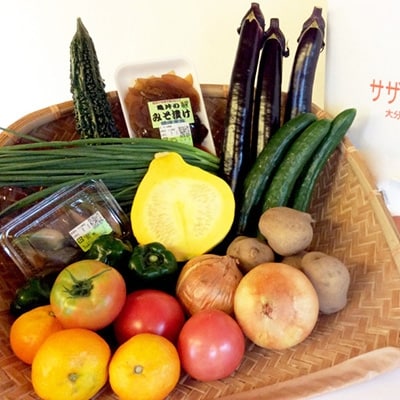 産地直送!旬の朝採れ野菜のセット(9~13種程度)