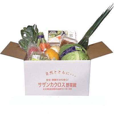 産地直送!旬の朝採れ野菜のセット(9~13種程度)