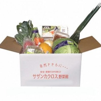 産地直送!旬の朝採れ野菜のセット(9～13種程度)