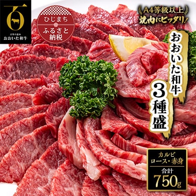 おおいた和牛 焼肉にピッタリ!牛肉の3種盛(カルビ・ロース・赤身)(合計750g)