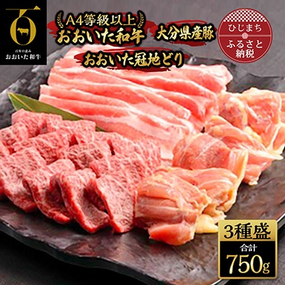 おおいた和牛・大分県産豚・おおいた冠地どり3種盛(合計750g)