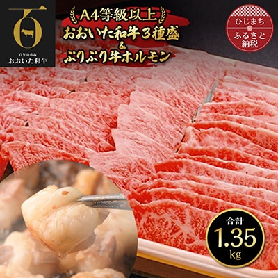 おおいた和牛3種盛&ぷりぷり牛ホルモン(合計1.3kg) 焼くだけで本格焼き肉の味
