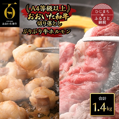 おおいた和牛切り落とし&ぷりぷり牛ホルモン(合計1.4kg)