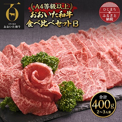 おおいた和牛 食べ比べセットB( 上カルビ & 上ロース )(合計400g)2～3人前