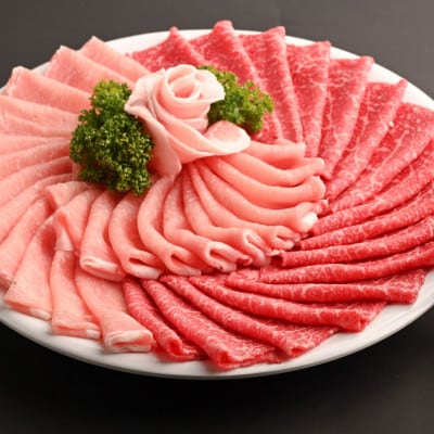 おおいた和牛&奥豊後豚しゃぶしゃぶセット【合計600g】かぼすポン酢付き(日出町)