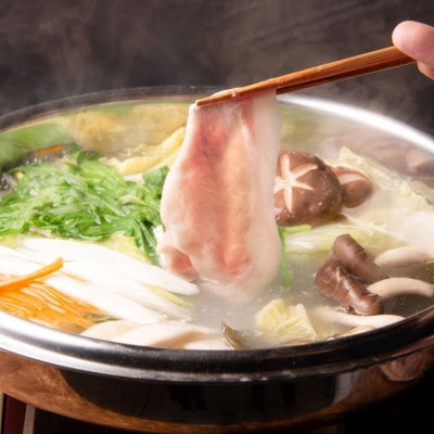 おおいた和牛&奥豊後豚しゃぶしゃぶセット【合計600g】かぼすポン酢付き(日出町)
