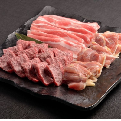 【のし付き】おおいた和牛・大分県産豚・冠地どり3種盛(合計750g)