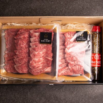 【のし付き】おおいた和牛カルビ焼き肉セット【500g×2(合計1kg)】つけダレ付