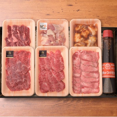 おおいた 和牛 と 地鶏 の バラエティー 焼肉セット (合計900g)つけダレ付(日出町)