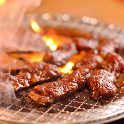 おおいた 和牛 と 地鶏 の バラエティー 焼肉セット (合計900g)つけダレ付(日出町)