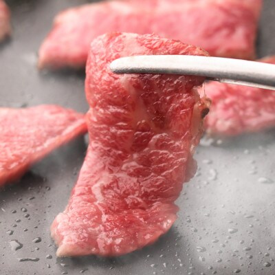 【のし付き】【お歳暮】おおいた和牛カルビ焼き肉セット(500g)つけダレ付