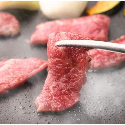 【のし付き】【お歳暮】バラエティー焼肉セット(合計900g)つけダレ付
