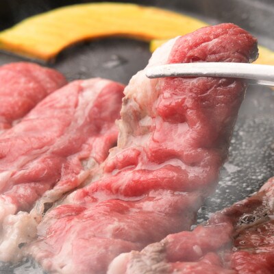 【のし付き】【お中元】おおいた和牛切り落とし(合計800g)