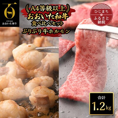 【のし付き】【お中元】おおいた和牛食べ比べセット&ぷりぷり牛ホルモン(合計1.2kg)