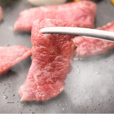 【のし付き】【お歳暮】五種のバラエティー焼肉セット つけだれ付き 計1kg