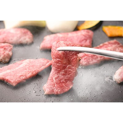 【毎月定期便】お肉のわくわく定期便　つけダレ、ステーキソース付き(日出町)全6回