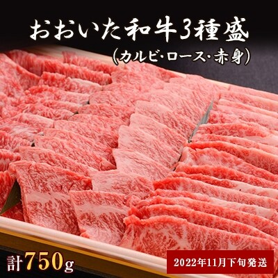 【2022年11月下旬発送】おおいた和牛3種盛(カルビ・ロース・赤身)(合計750g)