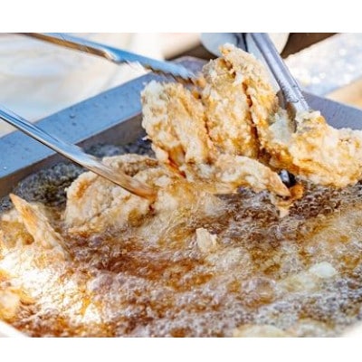 【大分名物】からあげセットD(骨なし500g・手羽先5本)
