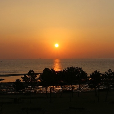 【キャンプ場で遊ぼう!】糸ヶ浜海浜公園オートキャンプ場1泊券(1区画分)
