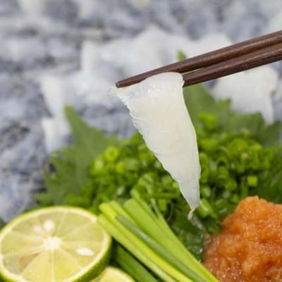 日出産とらふぐ刺身とくえ刺身の味くらべ(3～4人前)