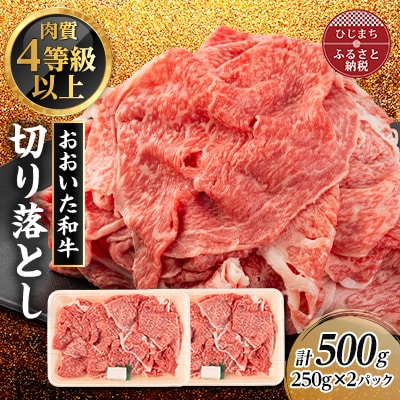 おおいた和牛　切り落とし(500g)