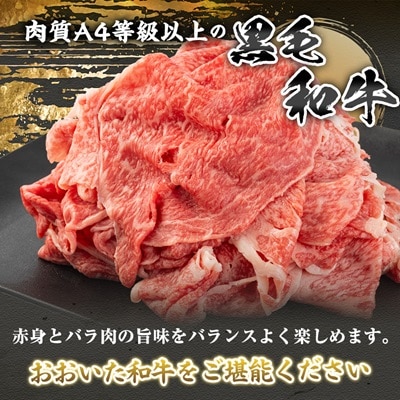 おおいた和牛　切り落とし(500g)
