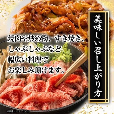 おおいた和牛　切り落とし(500g)