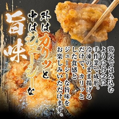 【大分名物】若鶏の唐揚げ(塩・醤油)合計3kg