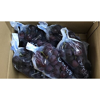 巨峰(種あり)   約2kg(4～6房)