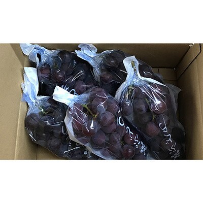 巨峰(種あり)約3kg(6～9房)