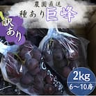 【訳あり】巨峰(種あり) 約2kg(6～10房)