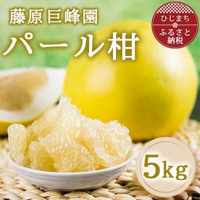 大分県日出町産　パール柑5kg